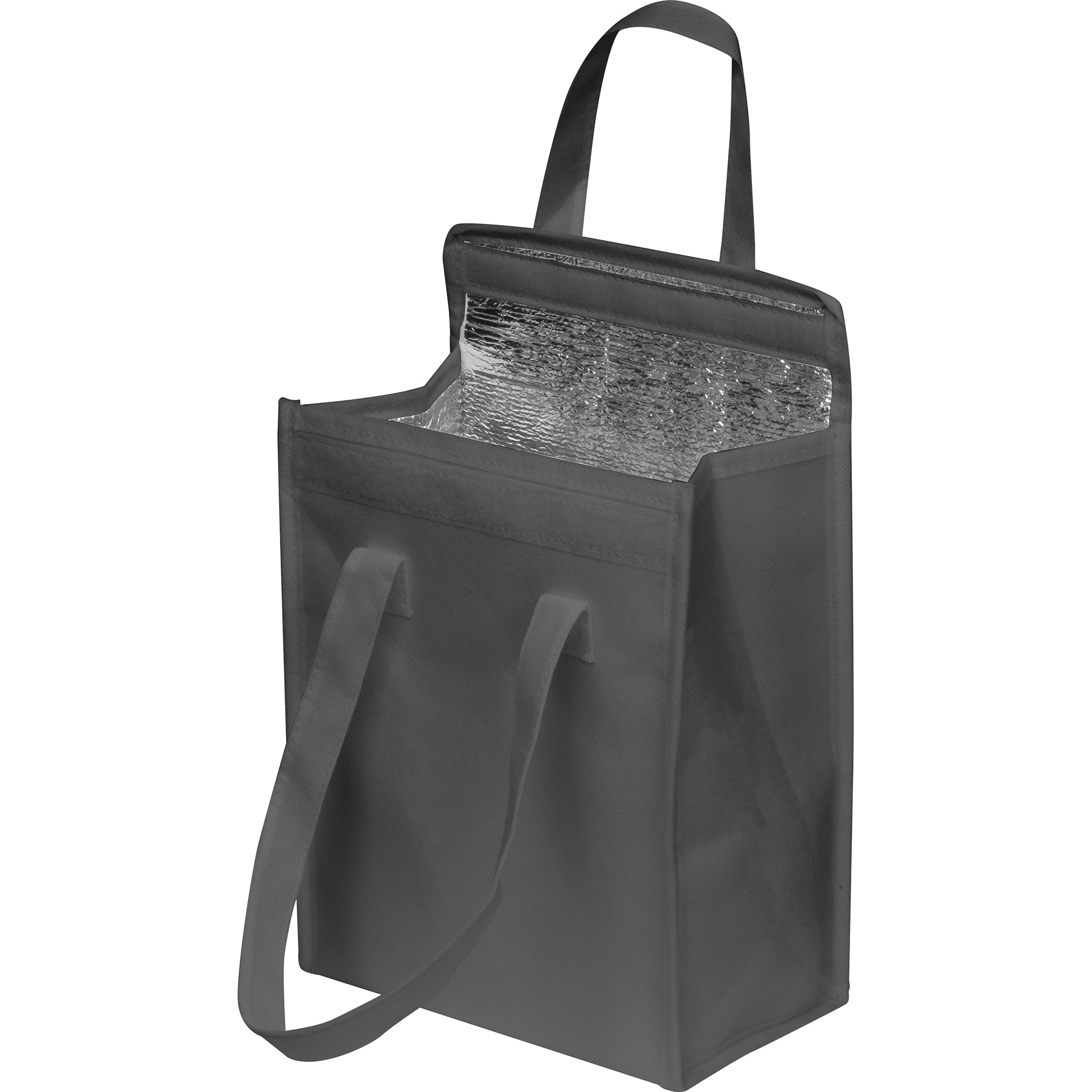 Kühltasche Plzeň-2