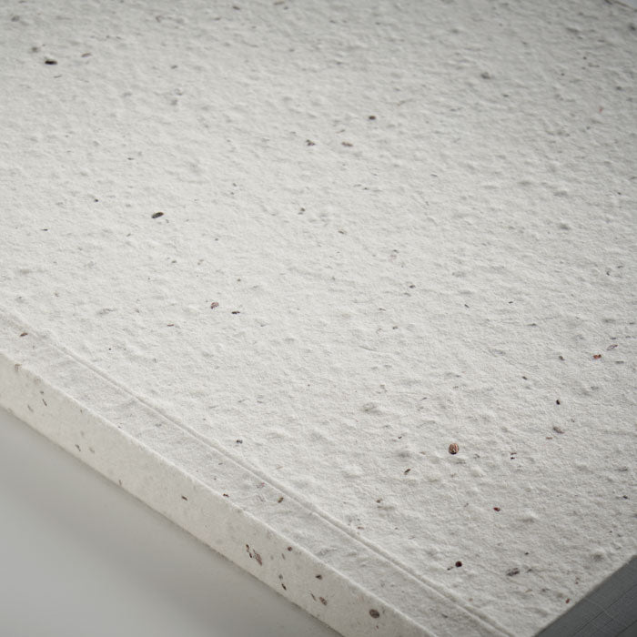 mo2082-06-detail.jpg